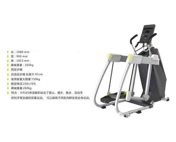 DHZ-X9101 體適能機