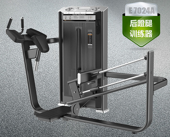 DHZ-E7024A 后蹬腿訓(xùn)練器