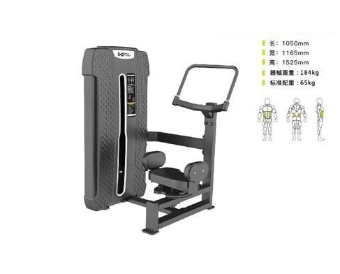 DHZ-E4018A 轉(zhuǎn)體訓(xùn)練器