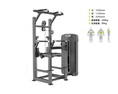 DHZ-E4009A 助力單雙杠訓(xùn)練器