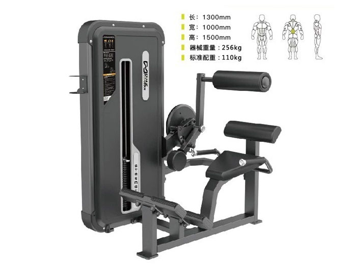DHZ-E3031A 腰部后壓訓(xùn)練器