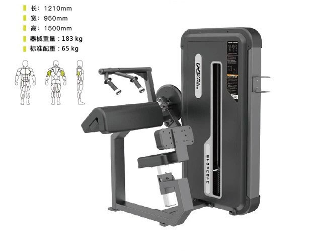 DHZ-E3028A 45°三頭訓(xùn)練器