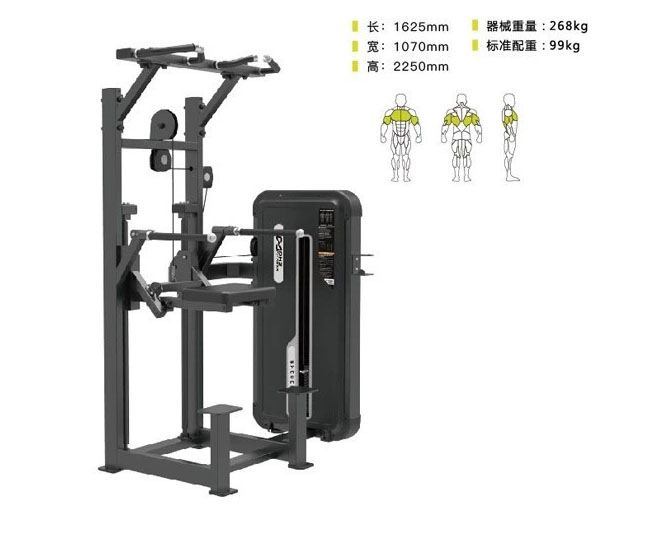 DHZ-E3009A 助力單雙杠訓(xùn)練器