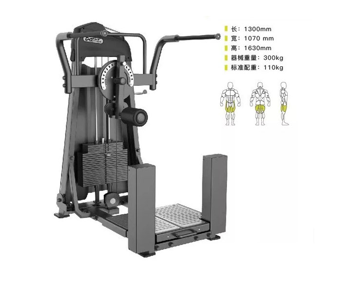 DHZ-E3011 擺推訓練器