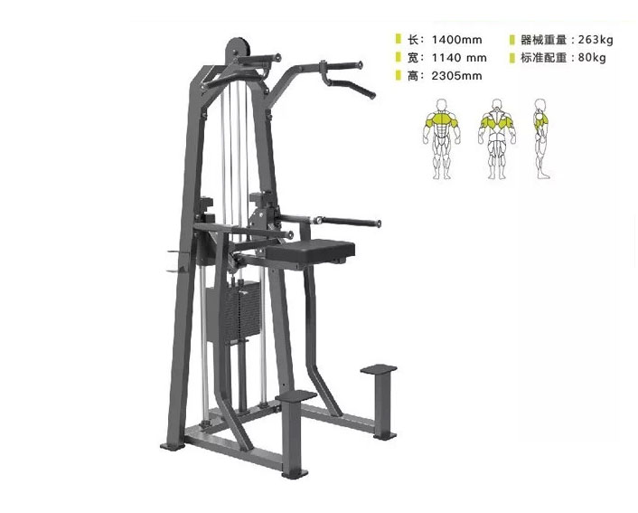 DHZ-E3009 助力單雙杠訓練器